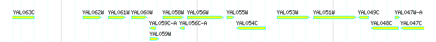 Genes detail