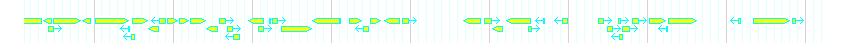 Genes detail
