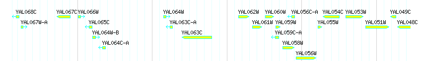 Genes detail