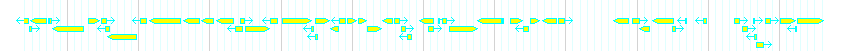 Genes detail