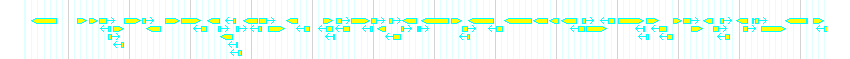Genes detail