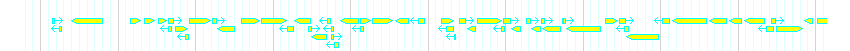 Genes detail