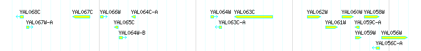 Genes detail