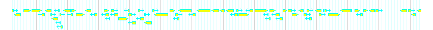 Genes detail