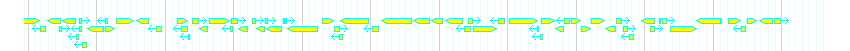 Genes detail