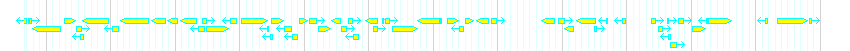 Genes detail