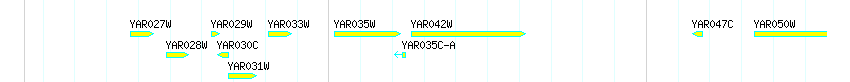 Genes detail