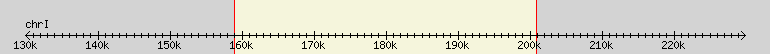 __scale__ region