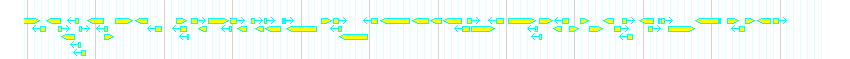 Genes detail