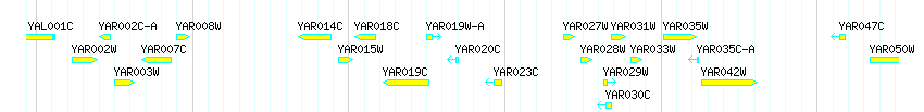 Genes detail