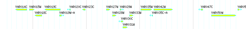 Genes detail