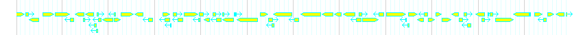 Genes detail