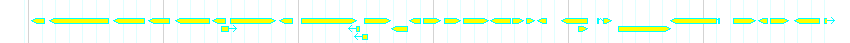 Genes detail