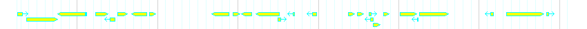 Genes detail