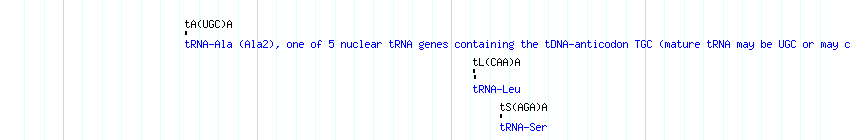 tRNAs detail