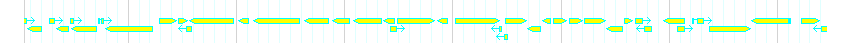 Genes detail