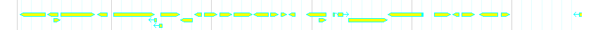 Genes detail