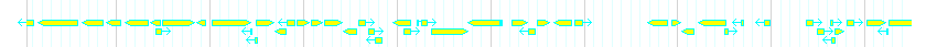 Genes detail