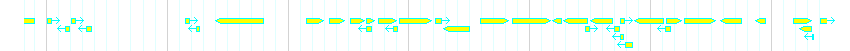 Genes detail