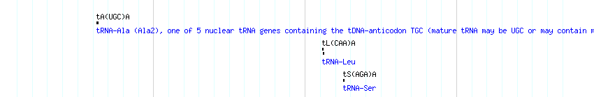 tRNAs detail