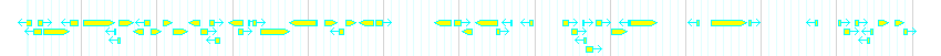 Genes detail