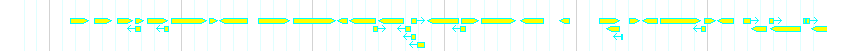 Genes detail
