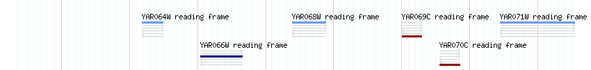 CDS detail