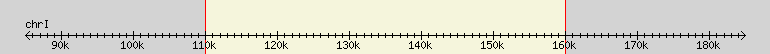 __scale__ region
