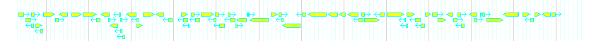 Genes detail