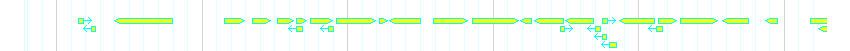 Genes detail