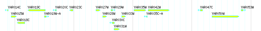 Genes detail