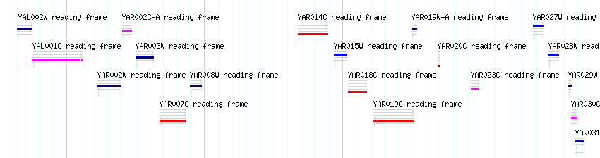 CDS detail