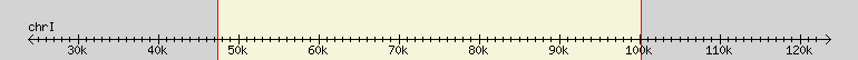 __scale__ region