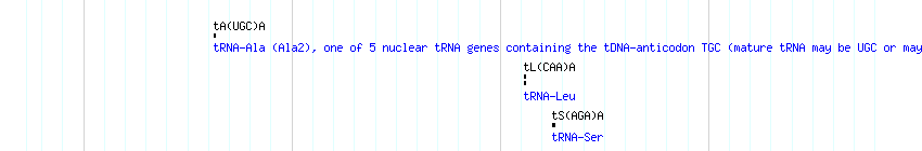 tRNAs detail