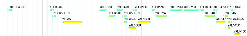 Genes detail