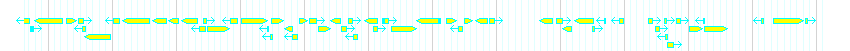 Genes detail