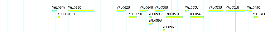 Genes detail