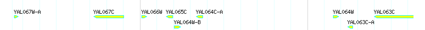 Genes detail