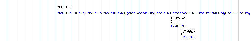 tRNAs detail