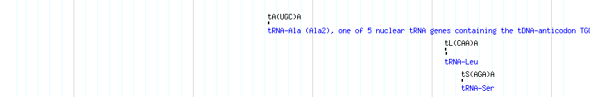 tRNAs detail