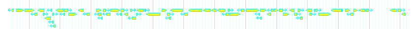 Genes detail