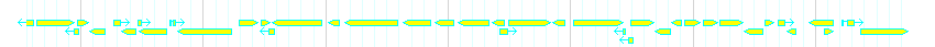 Genes detail