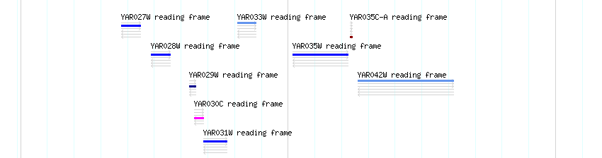 CDS detail