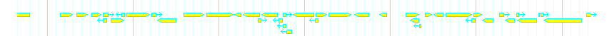 Genes detail
