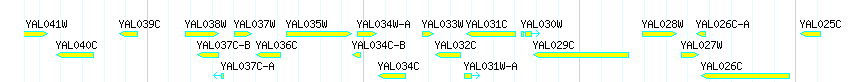 Genes detail