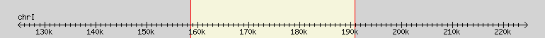 __scale__ region