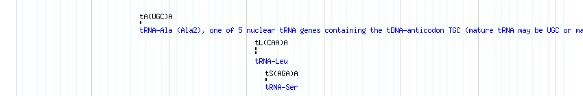 tRNAs detail