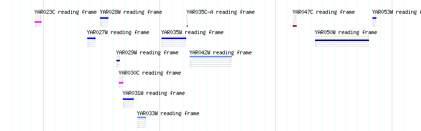 CDS detail