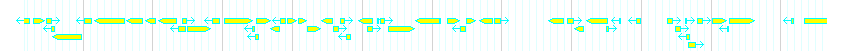 Genes detail
