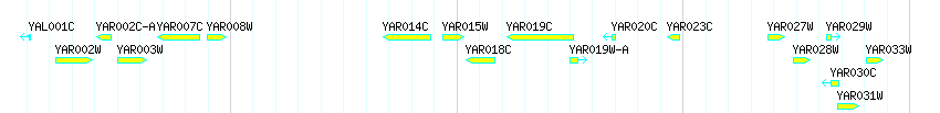 Genes detail